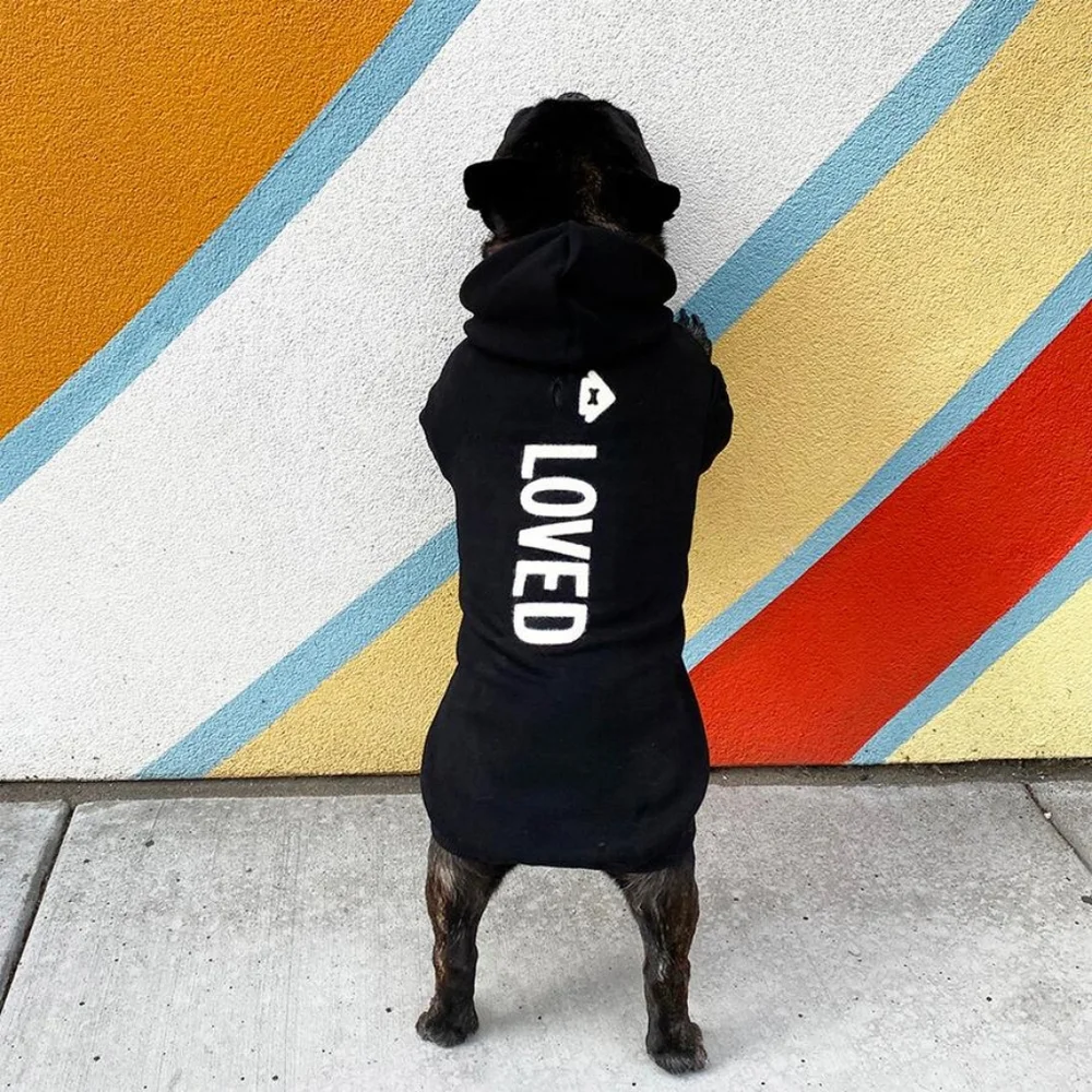 HOUSE DOGGE LOVED D.O.G. HOODIE HOST PICK NEW